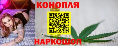 прущие крисы Донской