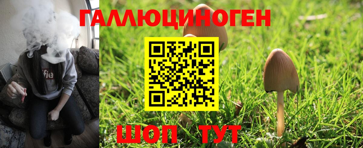 Корсаков  где купить   Вход с VPN  Псилоцибиновые грибы Psilocybe  Псилоцибиновые грибы MAGIC MUSHROOMS 