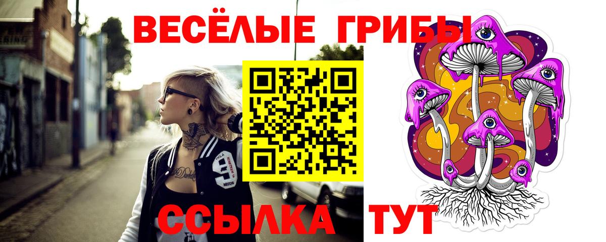 Псилоцибиновые грибы прущие грибы Корсаков